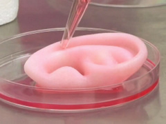 ֻ谴¡ӡ3DӡκҪģ١պƷ