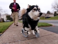 3D Systems 3Dӡ֫õ±ȹ±ܣһܷ600Ƶ