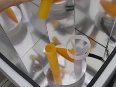 EnvisionTECɣڶʱڹ̻3Dӡļֵ