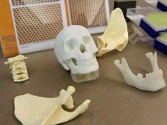 EnvisionTEC 3DӡĤģ