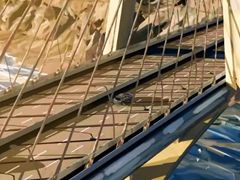 Autodesk 2014 Post and VFX Reel Ʒ