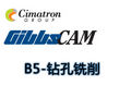 B-5GibbsCAM-ϳ