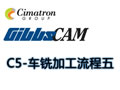 C-5-GibbsCAMӹ̣壩