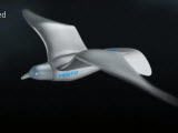 Festo - SmartBird ����ǿ��ķ���ģ��