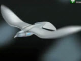 Festo SmartBird - �����������