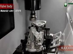 DMGɭĸЧʽӹMAX3000 ӹƵ