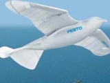 Festo SmartBird ɷңػ - SolidWorks World 2013 2ȫֳ